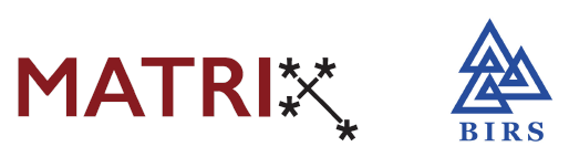 “MATRIX_BIRS”